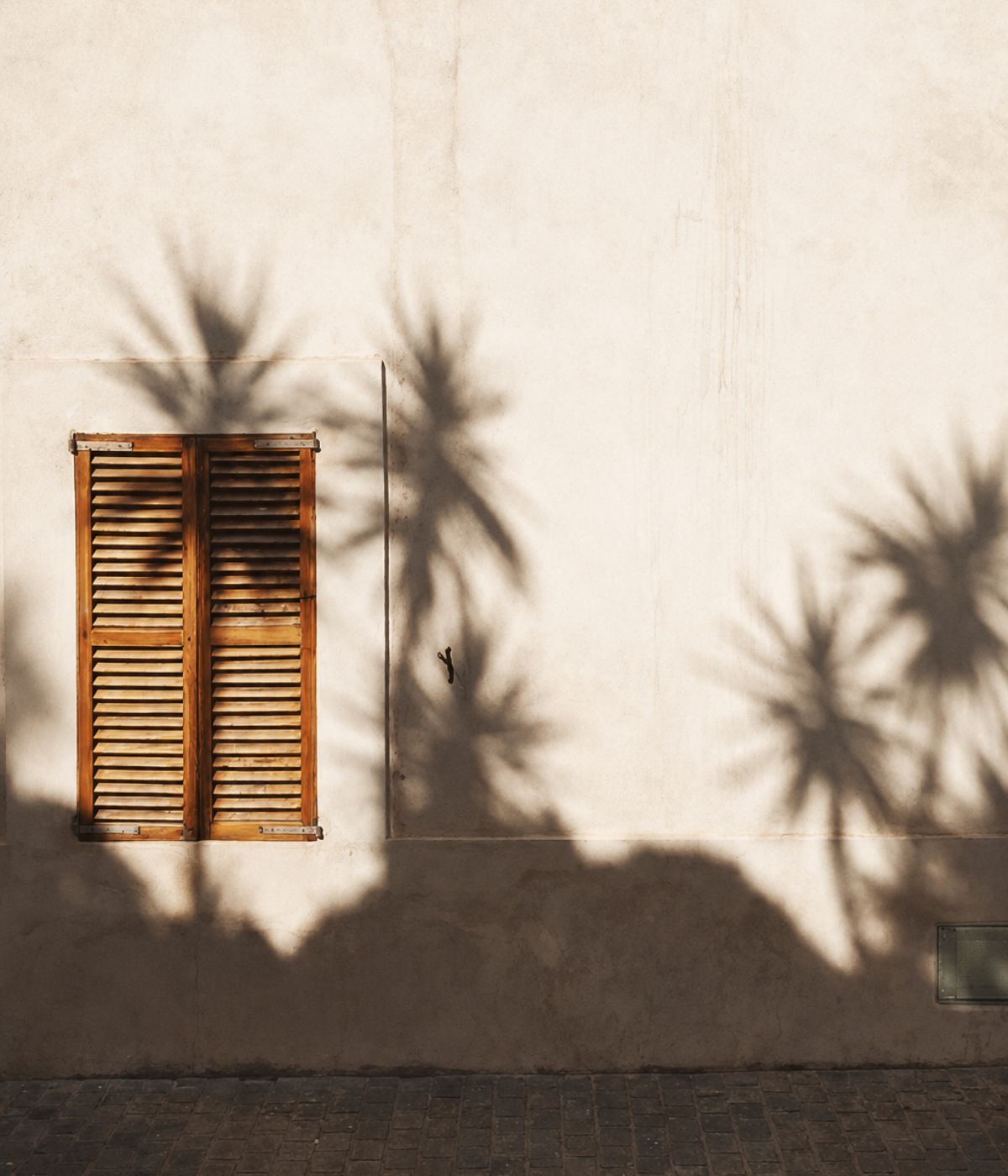 Palm shadows falling across a pale wall beside a wooden shutter
