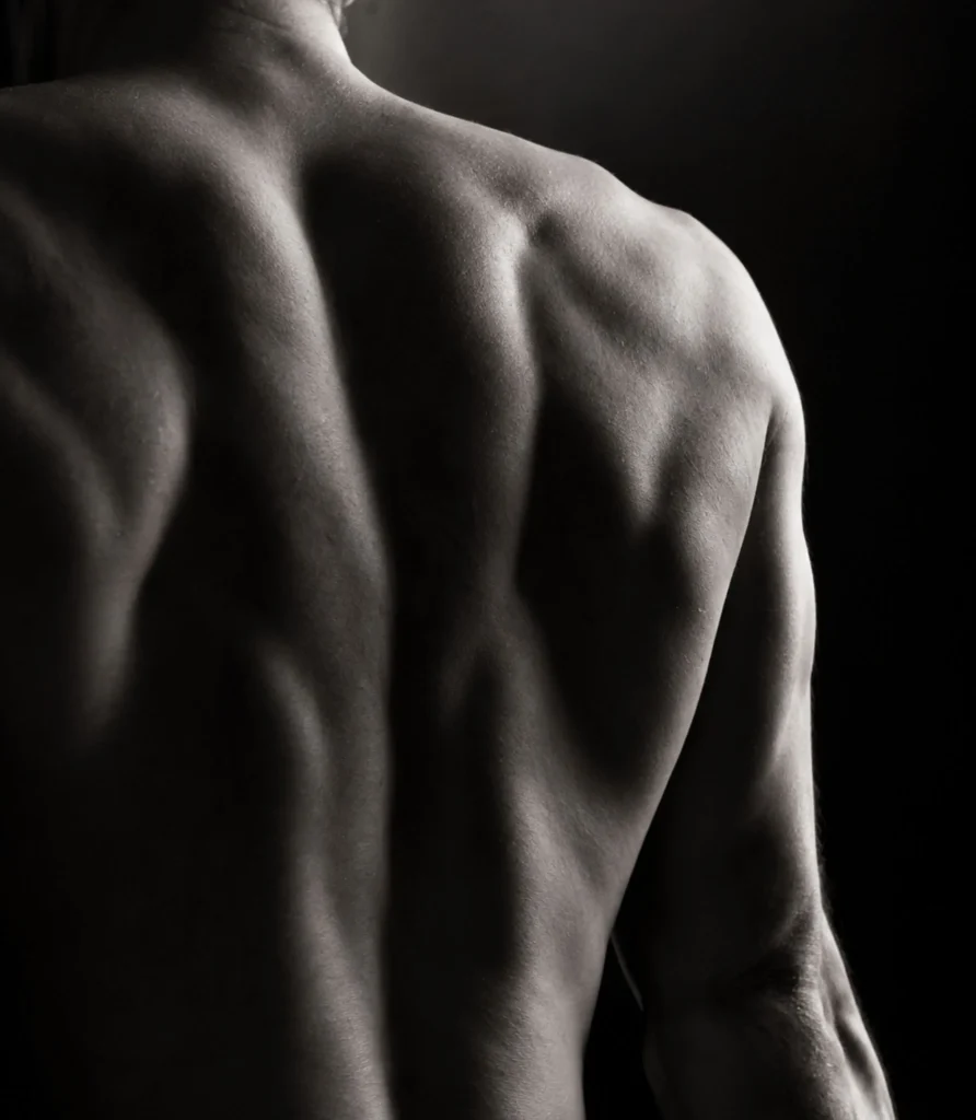A bare back and shoulders lit softly against a dark background
